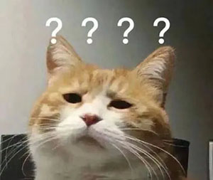 工作比较|疫苗CRA和药物CRA,你选择哪个?(图1) 工作比较|疫苗CRA和药物CRA,你选择哪个?(图1)