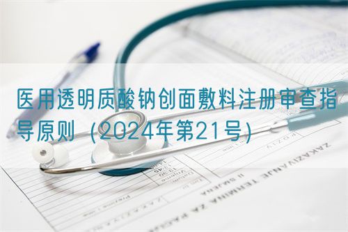 医用透明质酸钠创面敷料注册审查指导原则（2024年第21号）