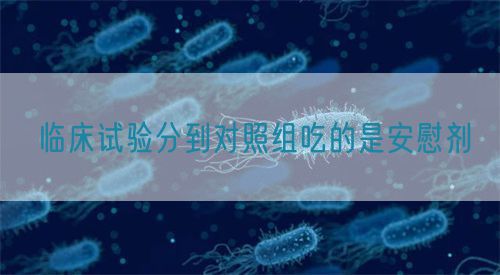 临床试验分到对照组吃的是安慰剂(图1)