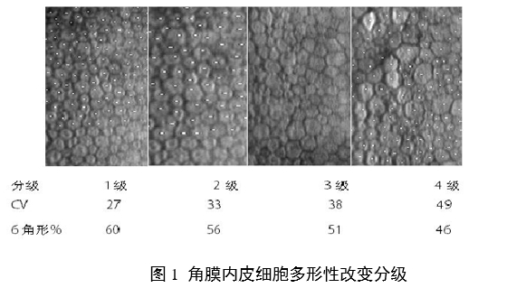 接触镜护理产品注册审查指导原则(2023年修订版)(2023年第9号)(图12) 接触镜护理产品注册审查指导原则(2023年修订版)(2023年第9号)(图12)