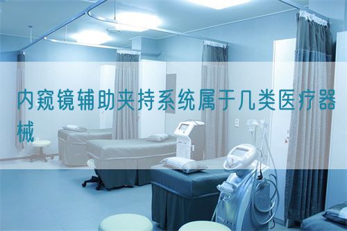 内窥镜辅助夹持系统属于几类医疗器械(图1) 内窥镜辅助夹持系统属于几类医疗器械(图1)