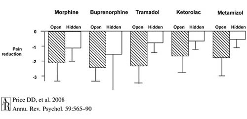临床双盲是什么意思？浅谈双盲试验注意要点(图2)