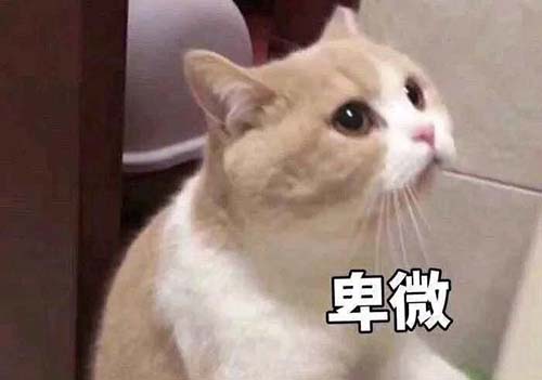 无经验怎么入行CRA?入行CRA的硬性条件有哪些?(图3) 无经验怎么入行CRA?入行CRA的硬性条件有哪些?(图3)