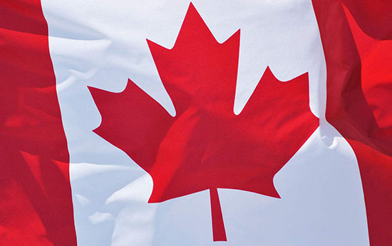 加拿大CMDCAS注册 医疗器械出口欧美日韩澳加要办什么手续?(图4)