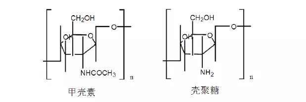 可吸收高分子材料介绍及其在植入医疗器械中的应用(图2) 可吸收高分子材料介绍及其在植入医疗器械中的应用(图2)