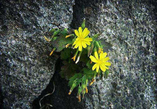 70后CRA给90后主力军的一些跳槽建议(图2) 70后CRA给90后主力军的一些跳槽建议(图2)