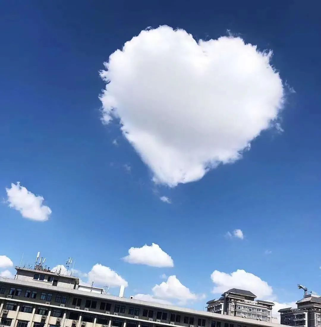 临床数据管理员DM工作岗位介绍(图3) 临床数据管理员DM工作岗位介绍(图3)