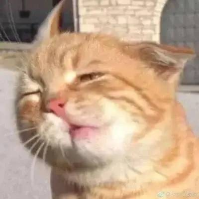 谈谈疫情最严重的时候CRC工作现状(图3) 谈谈疫情严重的时候CRC工作现状(图3)